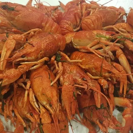 奥特迪优莫里亚酒店 * 敖德萨