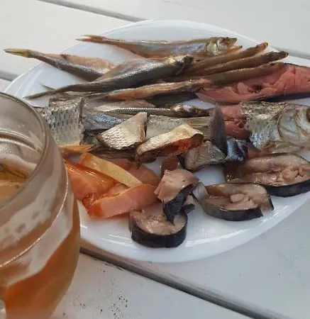 招待所 奥特迪优莫里亚酒店 *